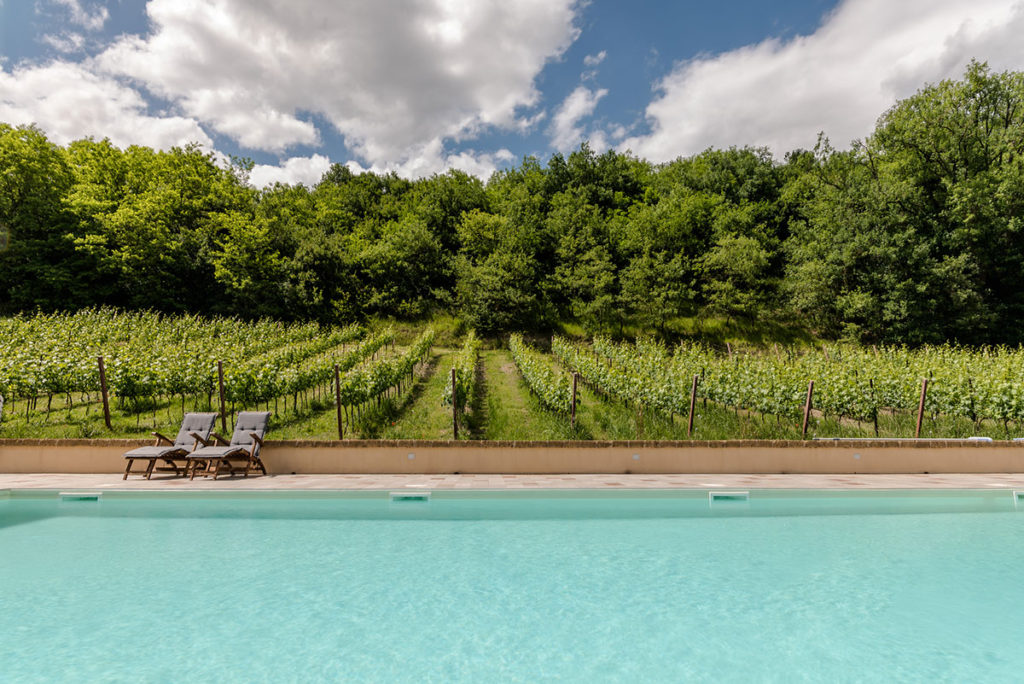 Casale Vigneto private pool overlooking the vineyard